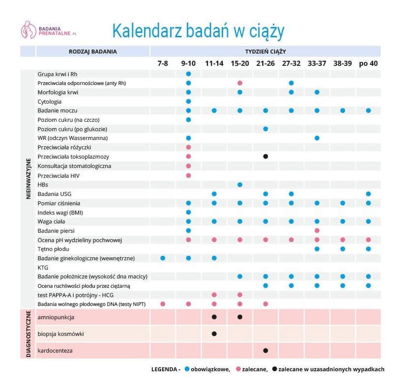 Badania-w-ciazy-kalendarz-badan.jpg