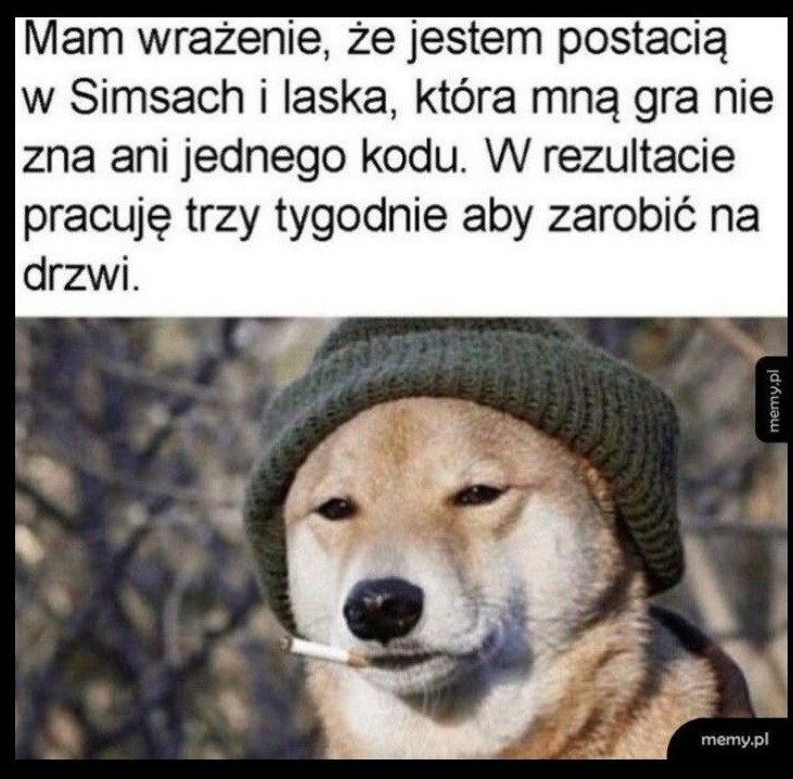 Przechwytywanie.JPG