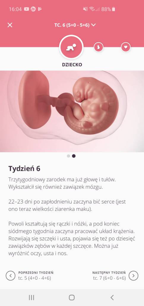 Screenshot_20191119-160408_Preglife.jpeg